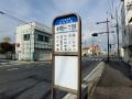 物件目の前にバス停があります。