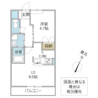 Fragrant Olive(笠間市)