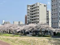 プレスト水戸中央(水戸市)