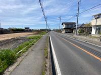 県道