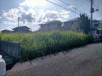 常陸太田市真弓町(常陸太田市)