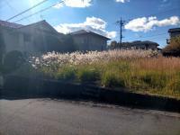 石岡市柿岡(石岡市)