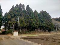 水戸市藤井町(水戸市)
