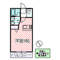 オリーブ桜(つくば市)